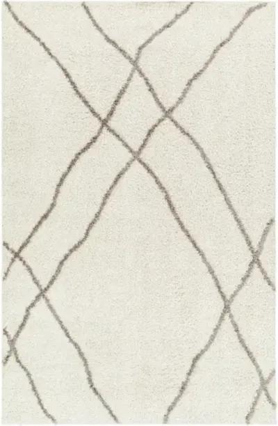 Maryland Shag MSG-2302 6'7" x 9' Machine Woven Rug