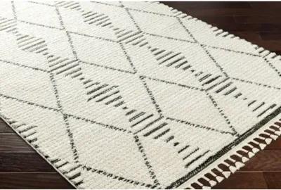 Valencia VLC-2316 7'10" x 10' Machine Woven Rug