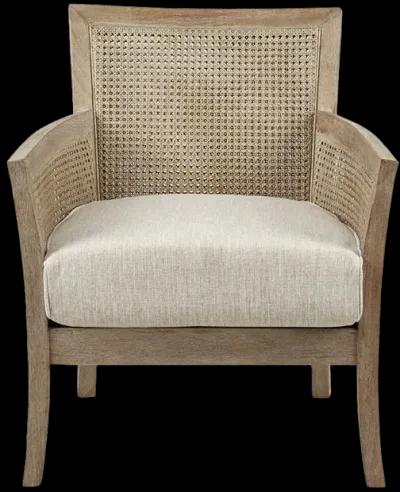 Madison Park Diedra Cream/Reclaimed Natural Cane Armchair