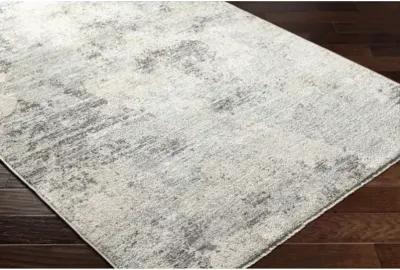 Rojin ROJ-2302 9' x 13'1" Machine Woven Rug