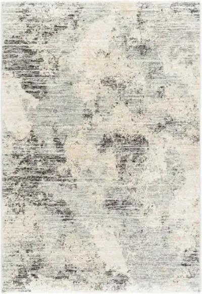 Rojin ROJ-2302 9' x 13'1" Machine Woven Rug