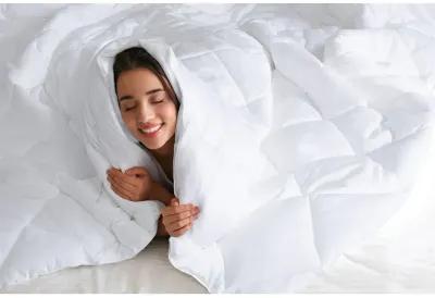 Sleep Philosophy Maximum Warmth White Cotton Down Alternative Featherless Comforter