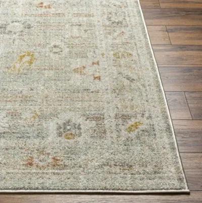 Bitlis BSI-2302 9'2" x 12' Machine Woven Rug