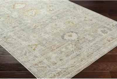 Bitlis BSI-2302 9'2" x 12' Machine Woven Rug