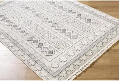 Berlin BLR-2313 7'10" x 10' Machine Woven Rug