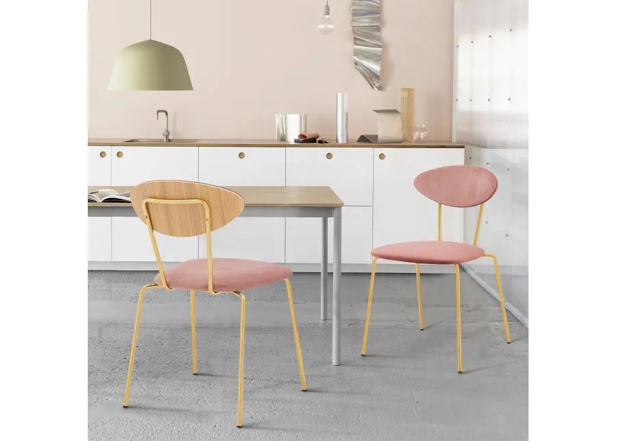 Neo Modern Dining Room Chairs - Set of 2