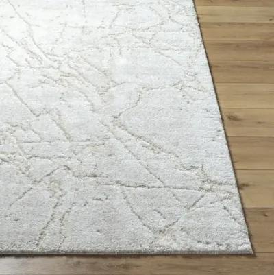 Andorra Plus ARP-2312 2' x 2'11" Machine Woven Rug