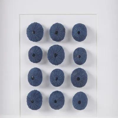 Martha Stewart Indigo Shells Blue Framed Sea Urchin Shadow Box Wall Decor