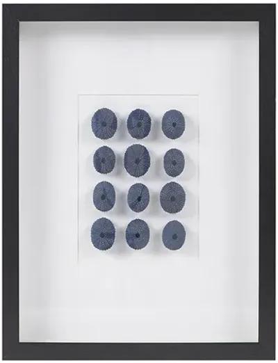 Martha Stewart Indigo Shells Blue Framed Sea Urchin Shadow Box Wall Decor