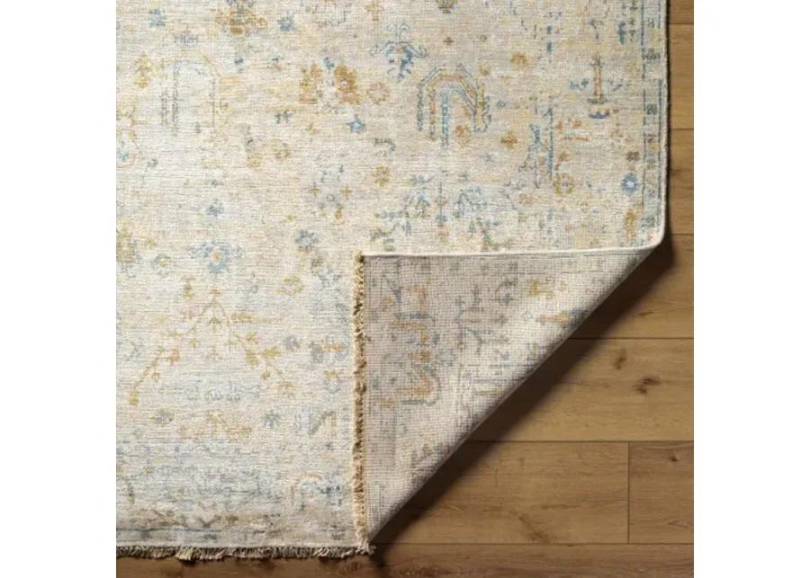 Theodora THO-3010 2'6" x 8' Rug