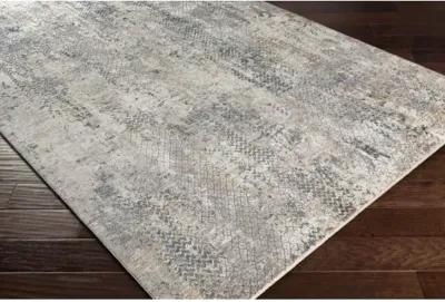 Cardiff CDF-2302 2'7" x 10' Rug