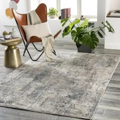 Cardiff CDF-2302 2'7" x 10' Rug