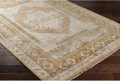 Anadolu 2' x 3' Rug