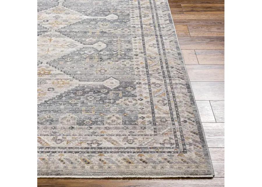 Aida AAD-2305 8'10" x 13' Machine Woven Rug