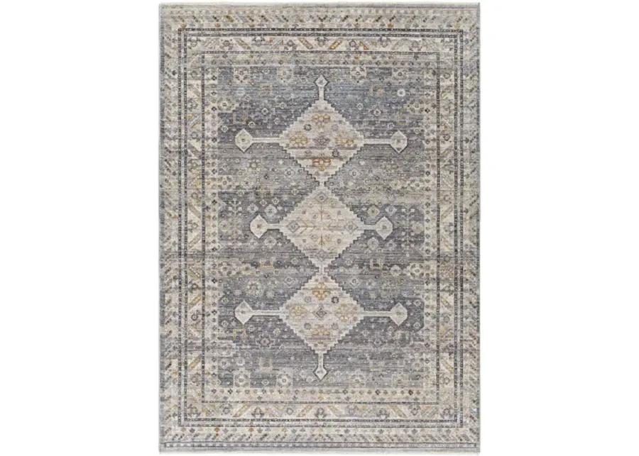 Aida AAD-2305 8'10" x 13' Machine Woven Rug