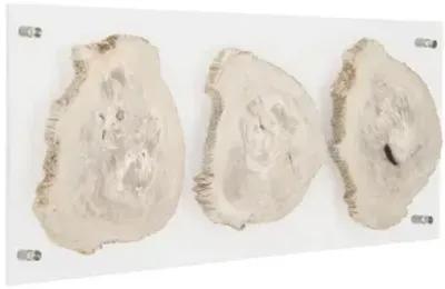 Floating Petrified Triple Slice Wall Art