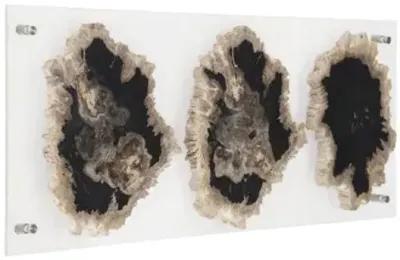 Floating Petrified Triple Slice Wall Art