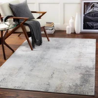 Norland 7'10" x 10' Rug