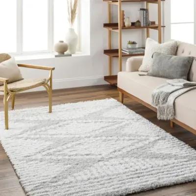 Urban Shag USG-2325 5'3" x 7'3" Machine Woven Rug