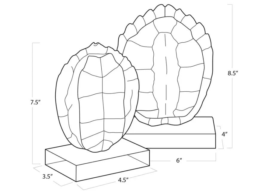 Turtle Shells On Crystal (Set of 2)