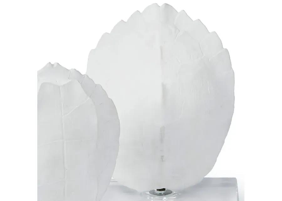 Turtle Shells On Crystal (Set of 2)