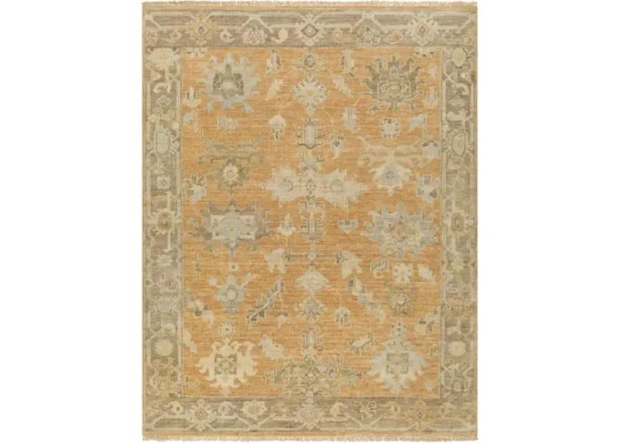 Antalya AAT-2302 12' x 15' Handmade Rug