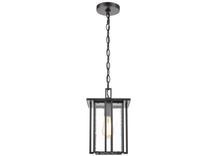 Radnor 8" Wide 1-Light Outdoor Pendant - Matte Black