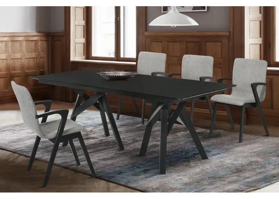 Cortina and Varde 5 Piece Black Rectangular Dining Set