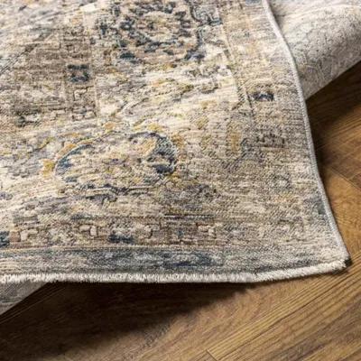 Aspendos APS-2315 2'7" x 10' Rug