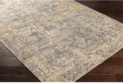 Aspendos APS-2315 2'7" x 10' Rug