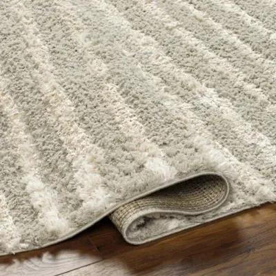 Maryland Shag MSG-2309 7'10" x 10' Machine Woven Rug