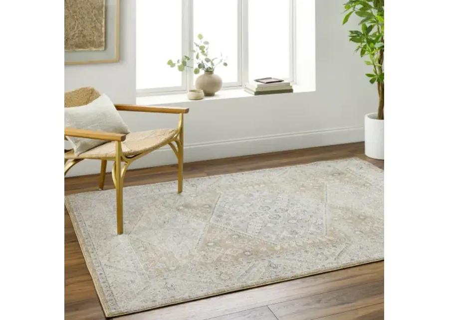 Alpharetta APH-2315 6'7" x 9' Machine Woven Rug