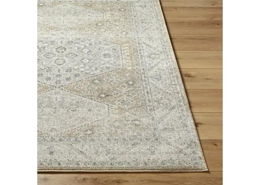 Alpharetta APH-2315 6'7" x 9' Machine Woven Rug