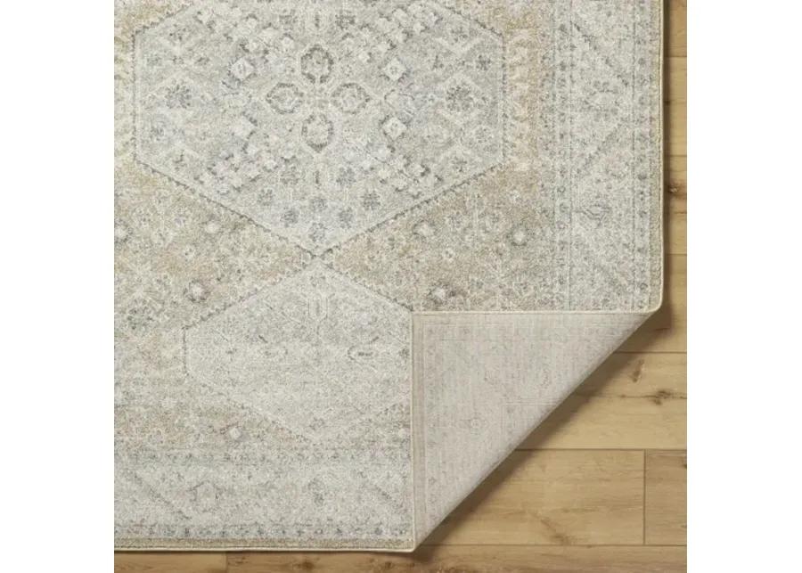 Alpharetta APH-2315 6'7" x 9' Machine Woven Rug