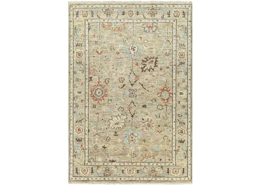 Biscayne 4' x 6' Rug