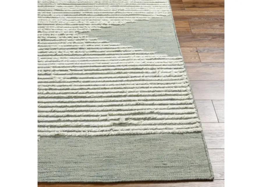 Apache APA-2313 2'6" x 8' Rug