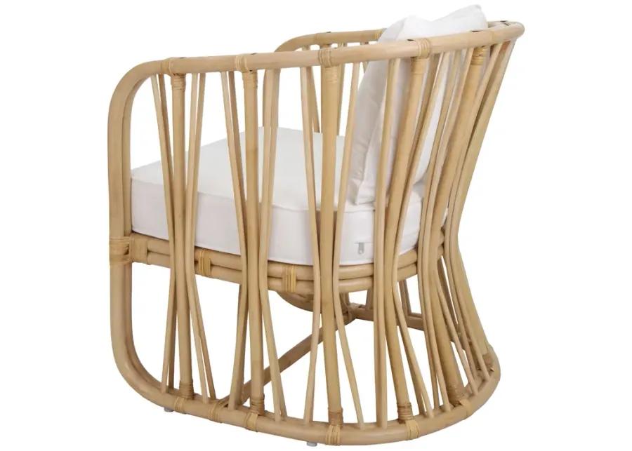 Shanaya Rattan Accent Arm Chair, Natural