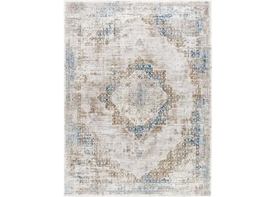 Montreal MTR-2305 2'7" x 10' Machine Woven Rug