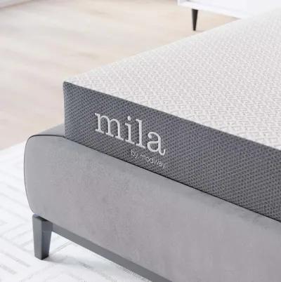 Mila 5" Queen Mattress