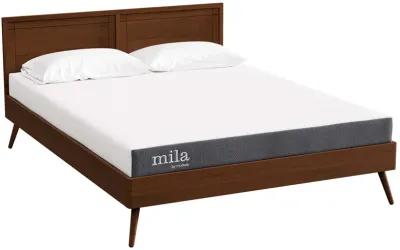 Mila 5" Queen Mattress