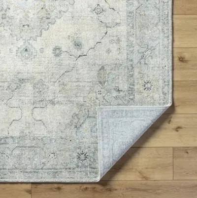 Avellino AVL-2314 10' x 14' Machine Woven Rug