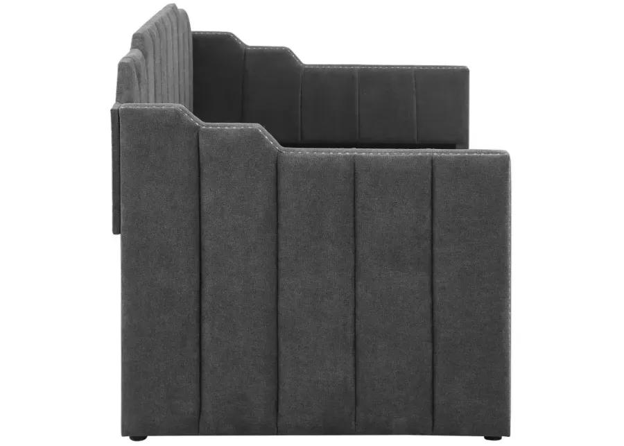 Kingston Upholstered Twin Daybed with Trundle Charcoal