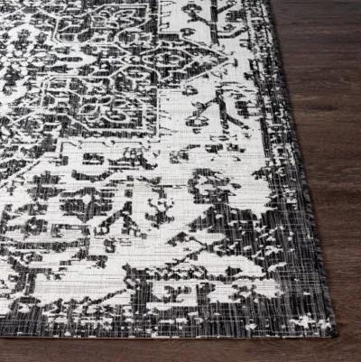 Eagean 8'10" x 12' Rug