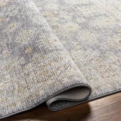 Avant Garde AVT-2341 2'7" x 10' Rug