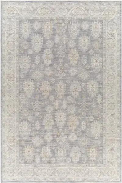 Avant Garde AVT-2341 2'7" x 10' Rug