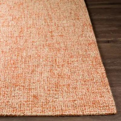 Aiden AEN-1003 2'6" x 8' Rug