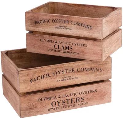 Oysters and Clams Boxes (Set of 2)