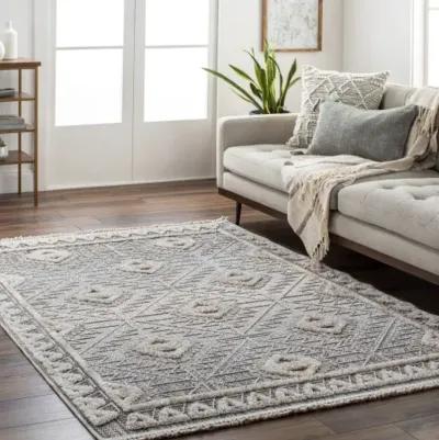 Zaragoza ZRZ-2318 2'7" x 7'3" Rug