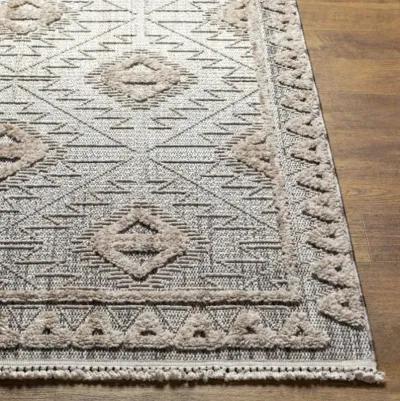 Zaragoza ZRZ-2318 2'7" x 7'3" Rug