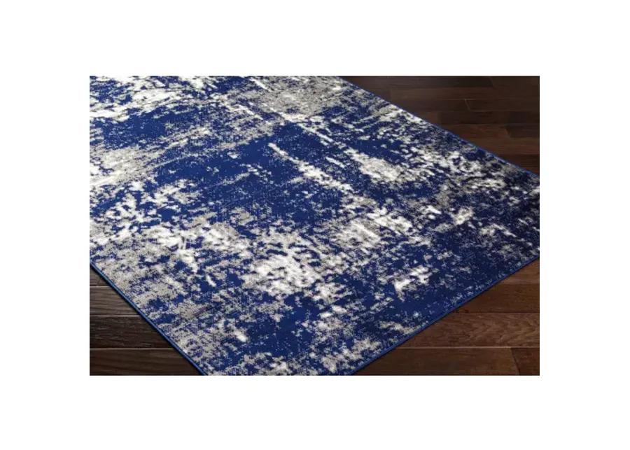 Pisa PSS-2373 5' x 7' Machine Woven Rug